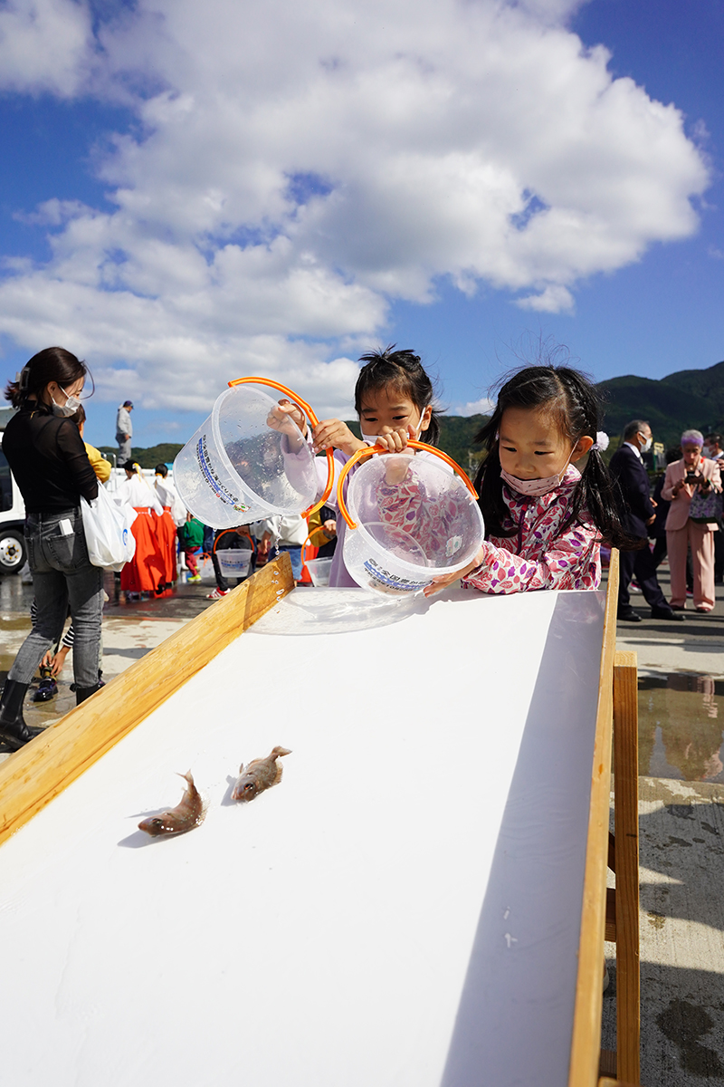 稚魚放流②